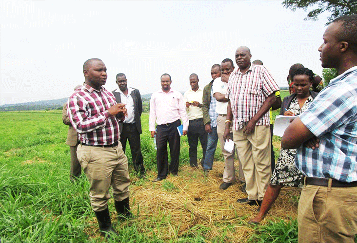 Geo-mapping for Hay making in Climate Stressed Rangelands (Geo4HCR)