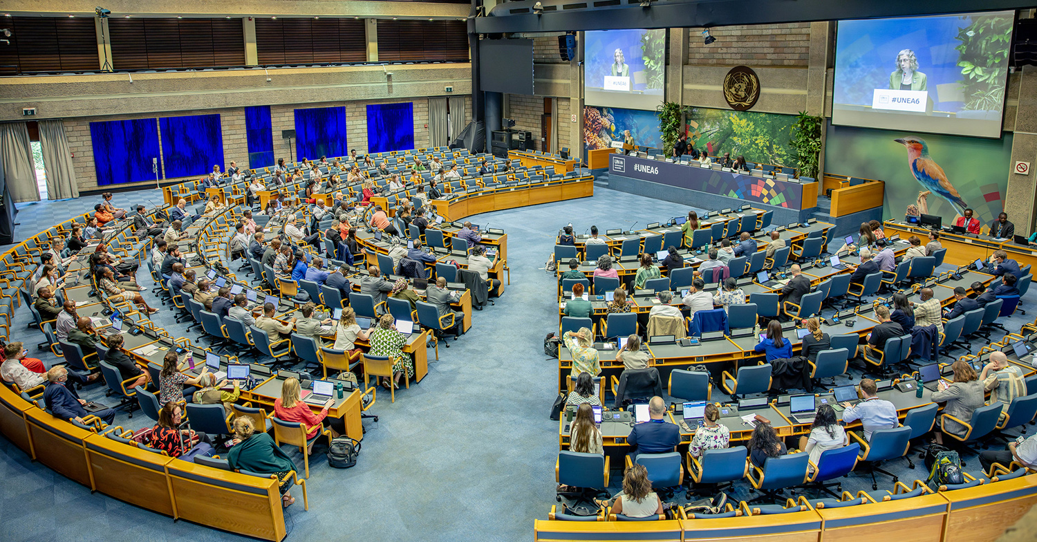 Sixth session of the United Nations Environment Assembly (UNEA-6)